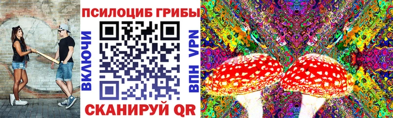 Галлюциногенные грибы Psilocybe Заречный