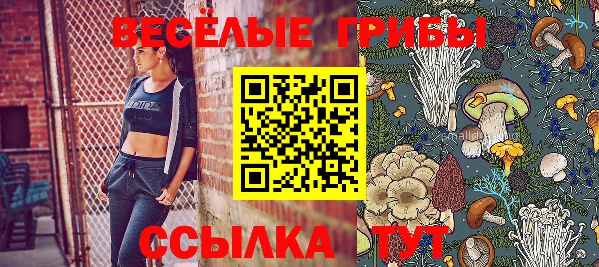 Галлюциногенные грибы Cubensis  купить наркотики цена  Заречный 