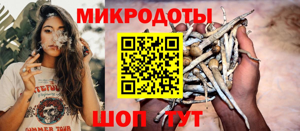 где купить наркотик  Псилоцибиновые грибы ЛСД  Заречный  Вход с VPN  Галлюциногенные грибы Psilocybine cubensis 